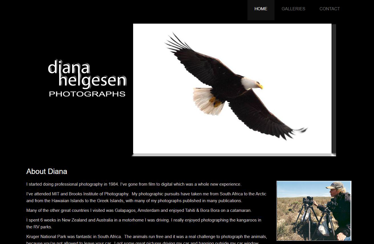 Zanetti Financial, LLC logo and responsive website design